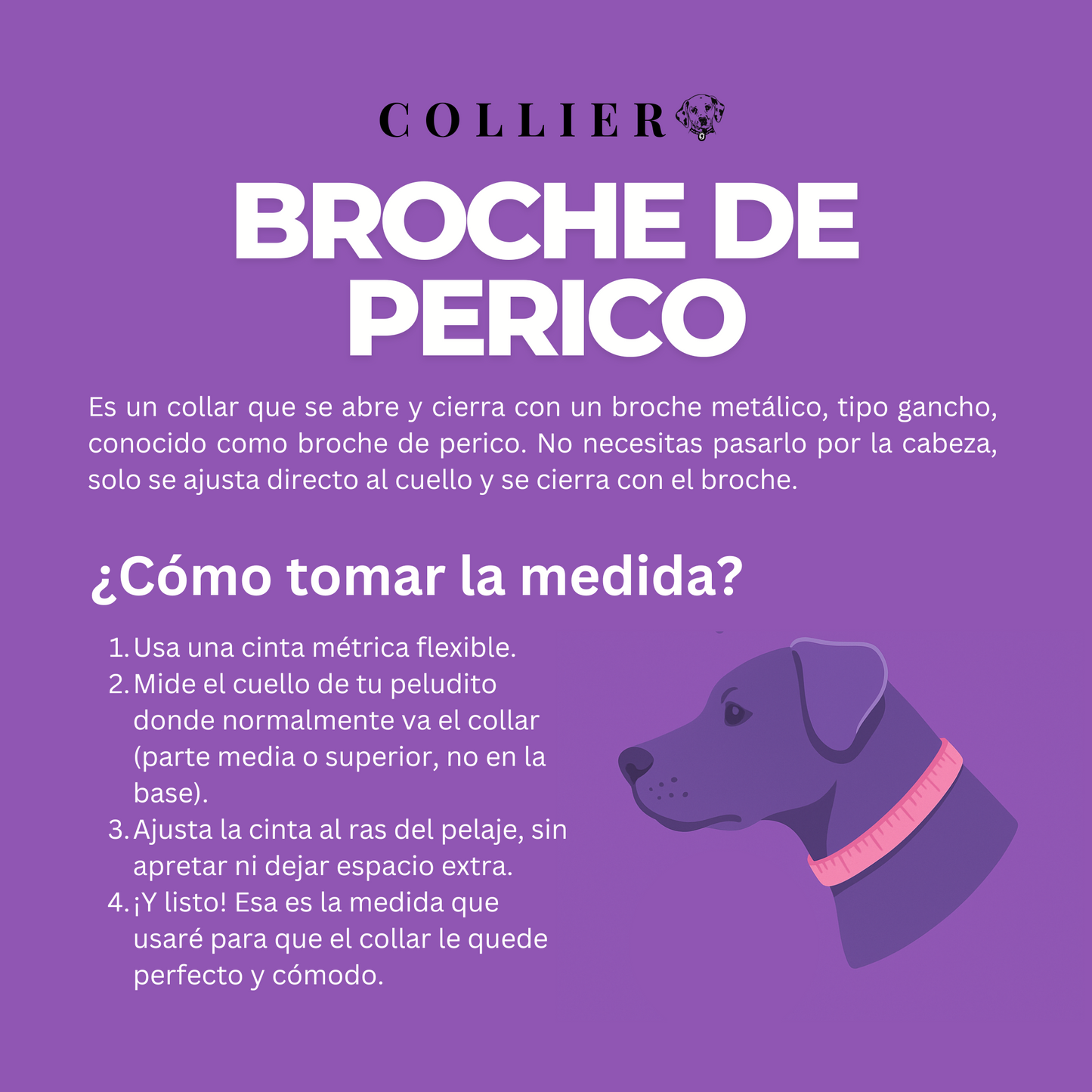 Rosa Pastel Brillante