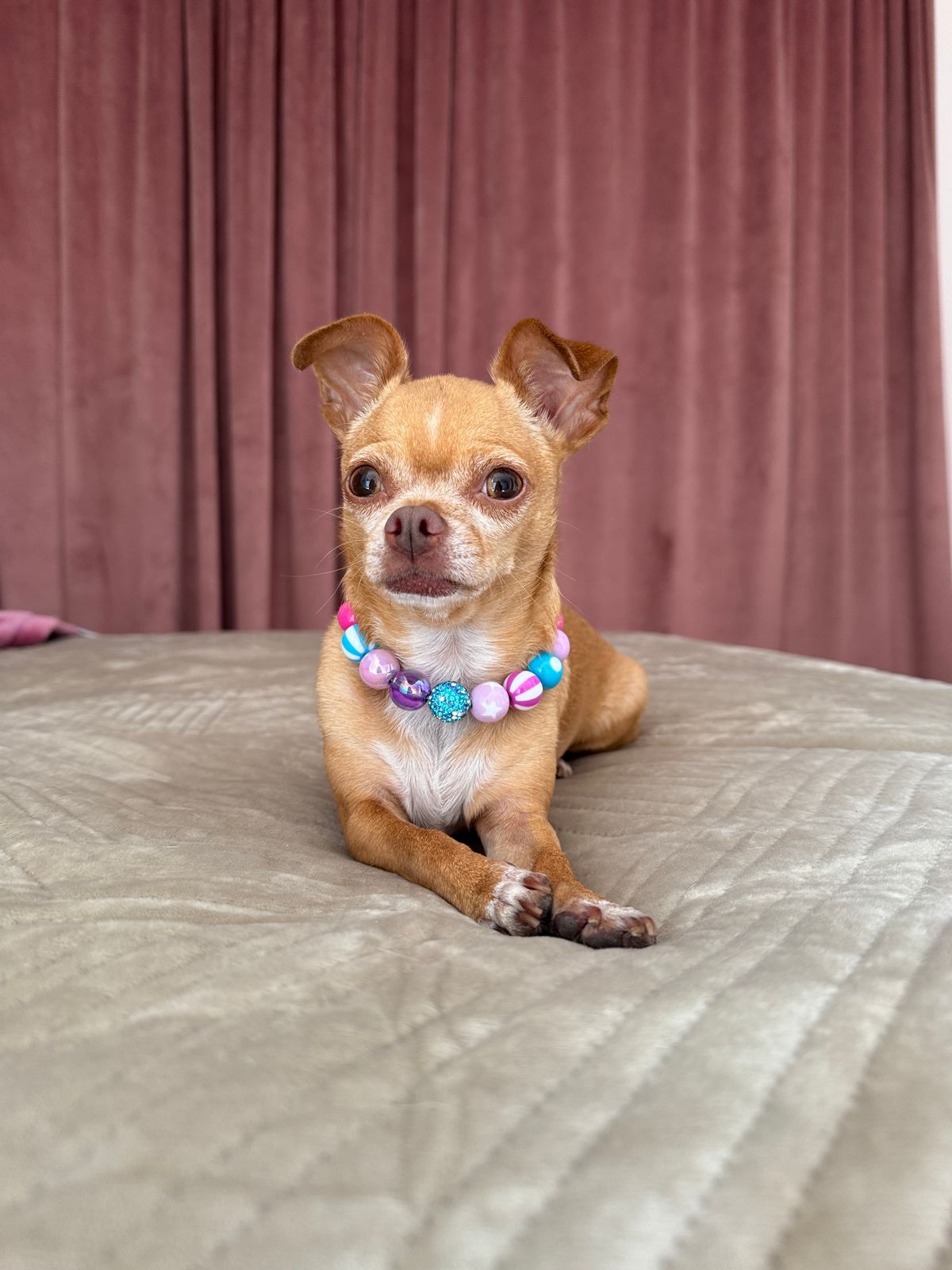 Mini Circus