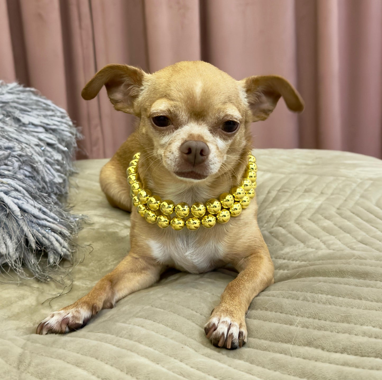 Golden Rockstar Mini