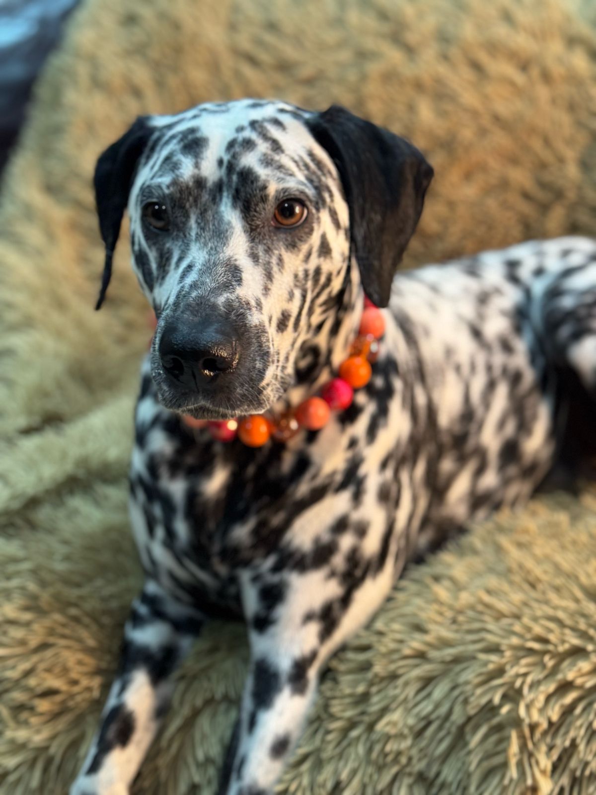 Lava Glow